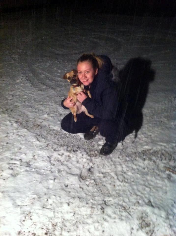 Blanding af racer Zoéy  ( himmel hund) billede 3