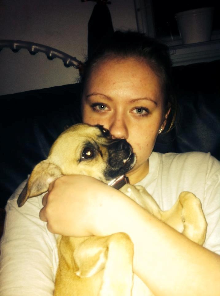 Blanding af racer Zoéy  ( himmel hund) billede 5