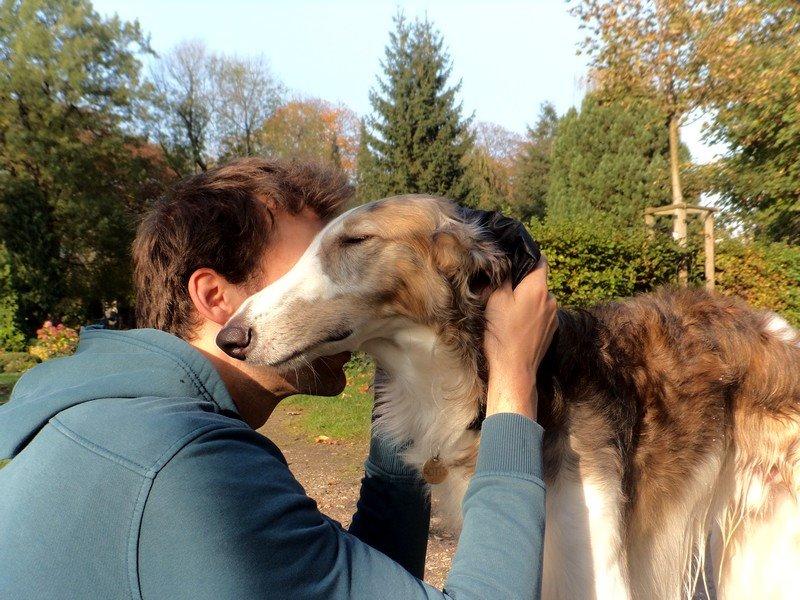 Borzoi Rotteberg aka Rotte - mine elsklinger billede 24