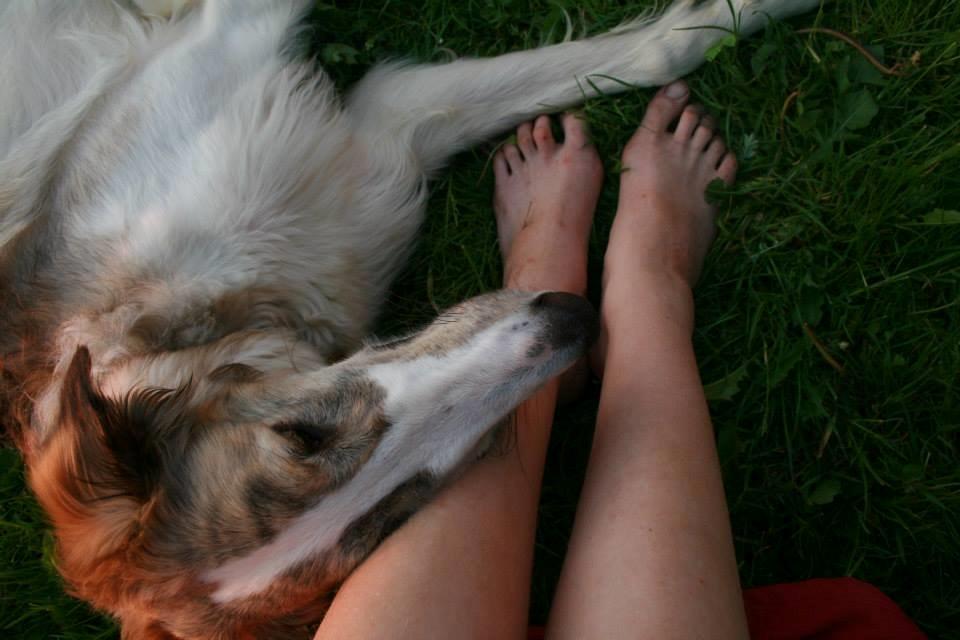 Borzoi Rotteberg aka Rotte billede 35