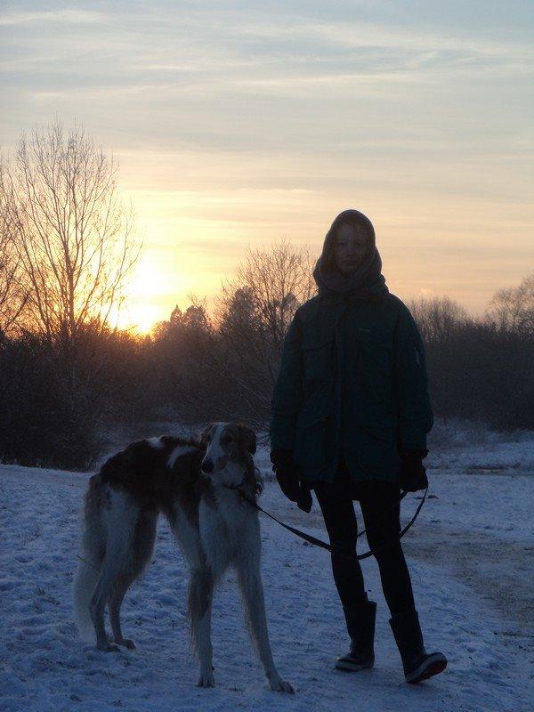 Borzoi Rotteberg aka Rotte - mig og min hund, jul 2014 billede 36