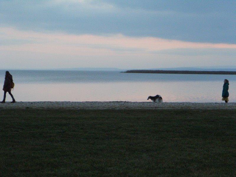 Borzoi Rotteberg aka Rotte - Mig, Rotteberg og min veninde ved Neusiedlersee (Østrig) billede 32