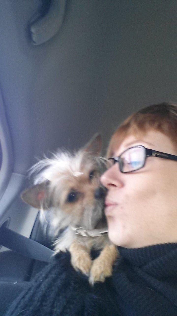 Blanding af racer Casey RIP billede 37