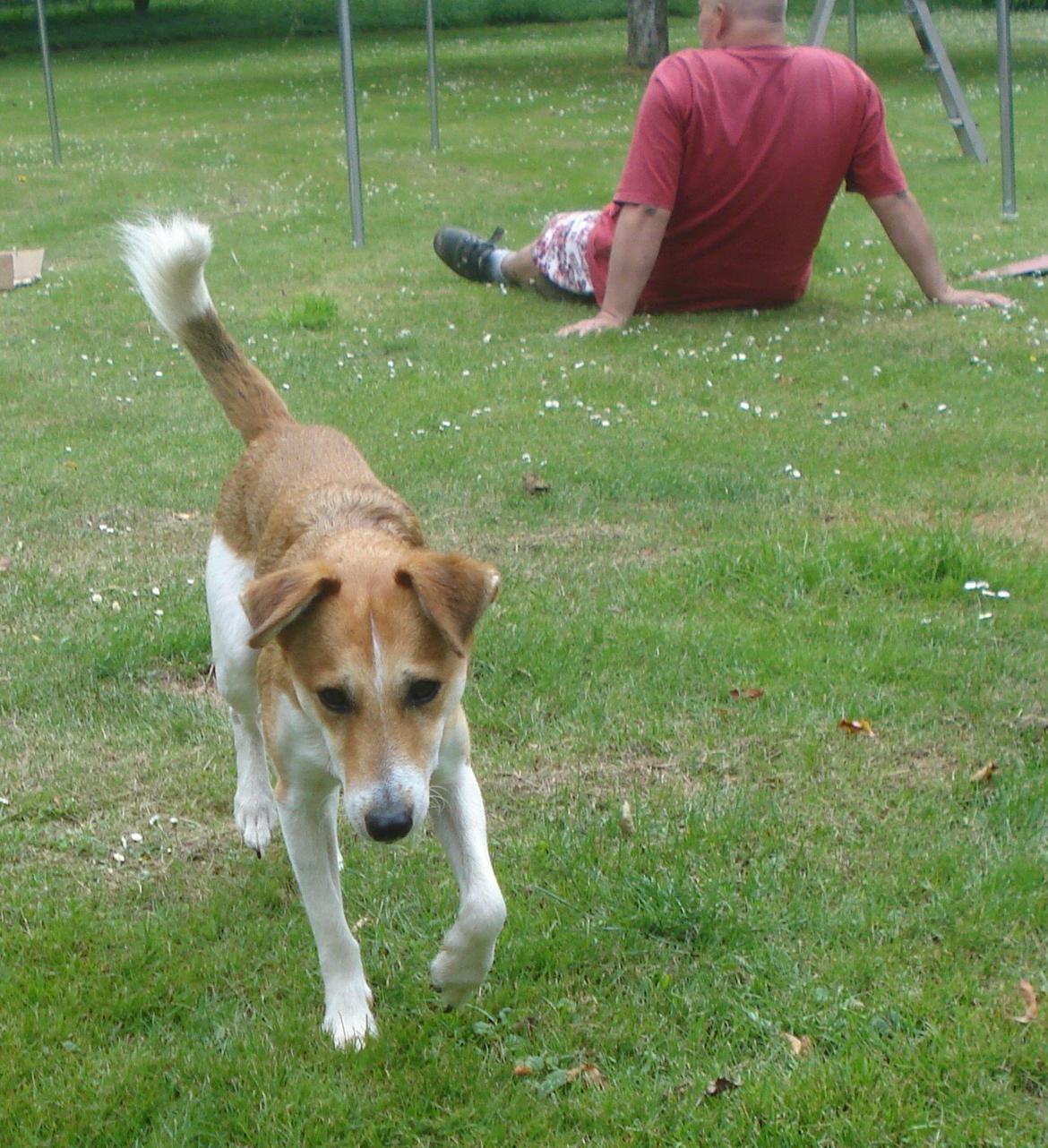 Blanding af racer Brandalarmen Anton - Han ser ikke noget, så jeg fiser på eventyr :D billede 3