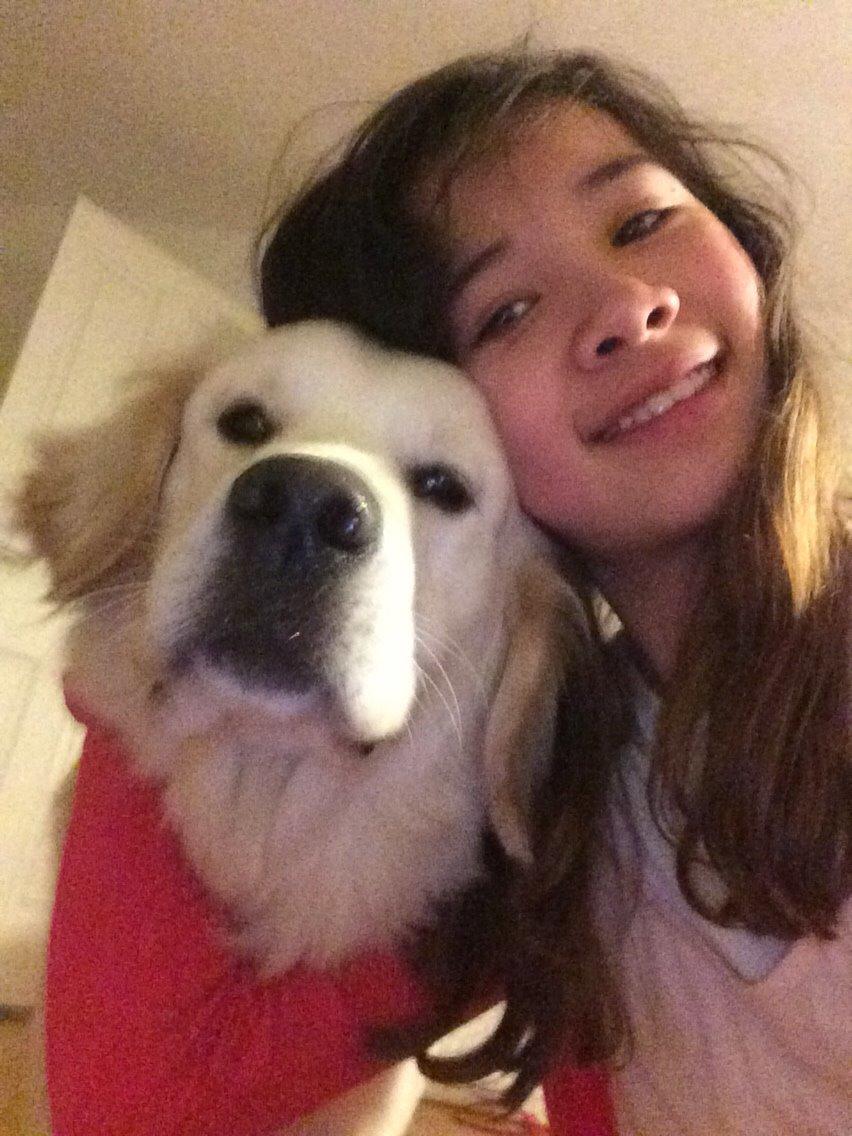 Golden retriever Viggo billede 23