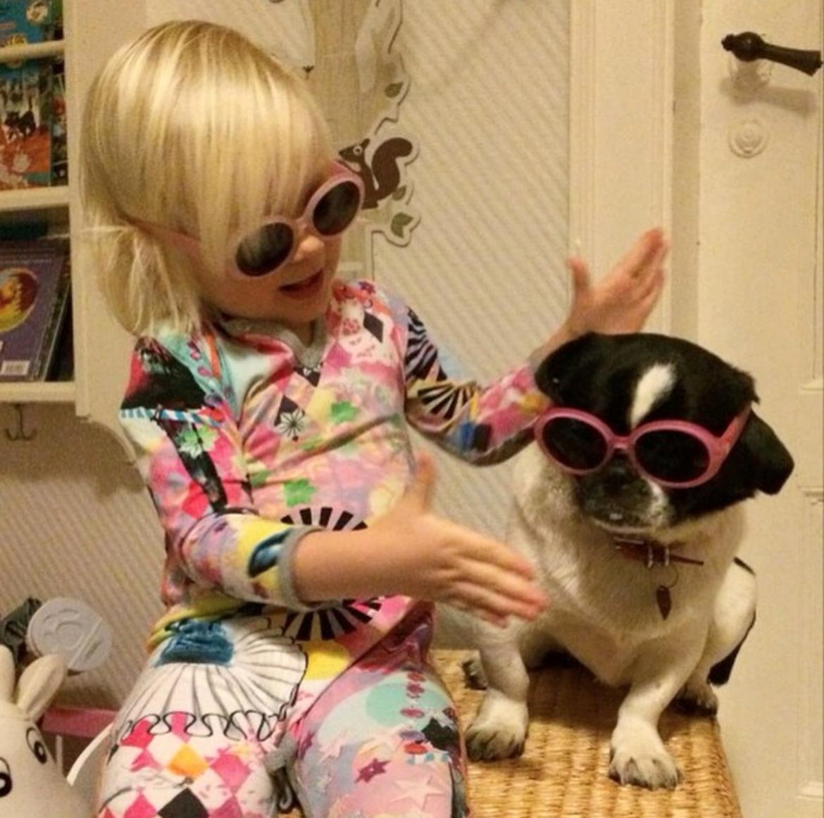 Blanding af racer Bertha - Verdens bedste familiehund - når det bliver for meget så går hun bare, og hun kan kysses, krammes, klappes og meget mere :) billede 5