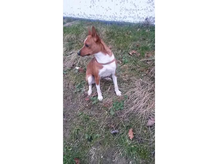 {{currentPhoto.altText}} billede {{currentPhoto.number}}