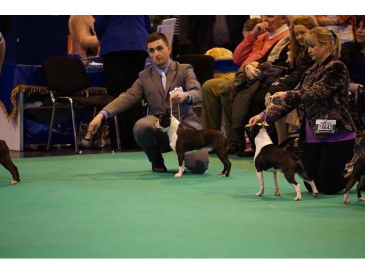 {{currentPhoto.altText}} billede {{currentPhoto.number}}