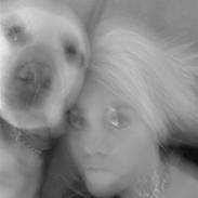 Labrador retriever Penny