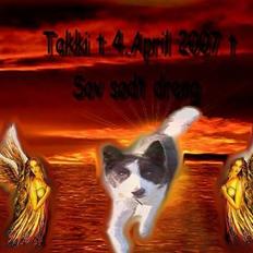 Karelsk bjørnehund Bjørnehusets Takki*Død*