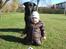 Rottweiler Tyson ( R.I.P 2/10-2013) - min lillebror og jeg, april 2008