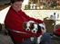 Blanding af racer Mollie R.I.P. - Mor er den bedste i verden.