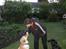 Labrador retriever * R.I.P.* Amy - Ihhh altså jeg sidder lige her Glem dog ham lidt!!!