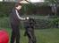 Labrador retriever * R.I.P.* Amy - Amy er begyndt at dog danse i smug