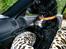 Blanding af racer Blanding *Luna* - hvorfor skal vi bare sidde her og vente?