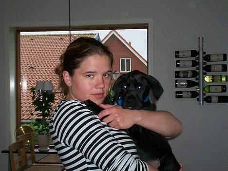 Blanding af racer Tyson - se her er mig og min mor den dag jeg kom her hjem  billede 2