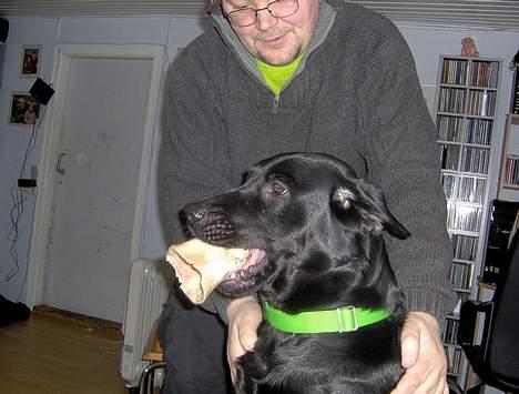 Blanding af racer Tulle - Far ønskes velkommen hjem med fremvisning af pralebenet billede 6