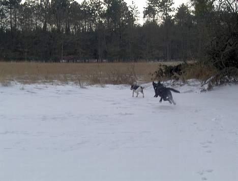 Blanding af racer Tulle - Tulle og Sif på to hjul om hjørnet billede 8