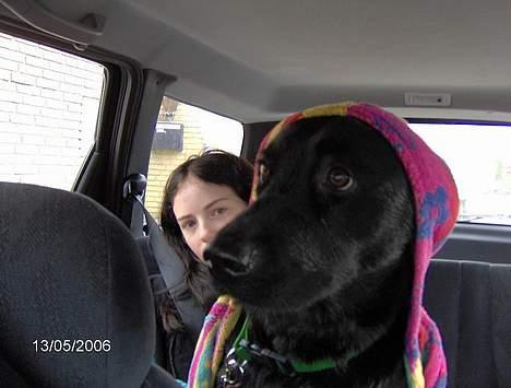 Blanding af racer Tulle - Selvfølgelig har man egen badekåbe billede 13