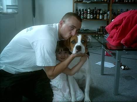 Amerikansk bulldog Rex - Daddy, Rex og Tine billede 4