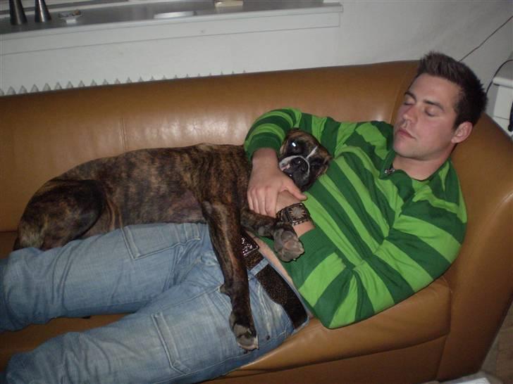 Blanding af racer Oscar  R.I.P. - Nååå, hvor jeg putter med far... billede 11