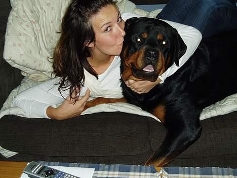 Rottweiler Odin - Odin og Stine billede 3