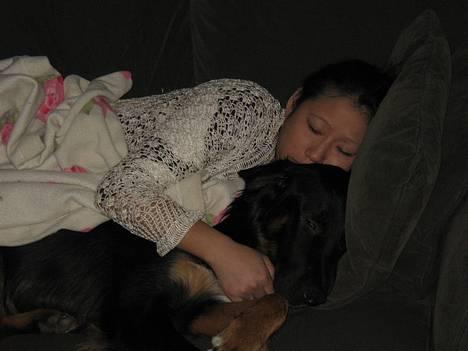 Blanding af racer Balder billede 11