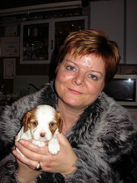 Cavalier king charles spaniel Birkedal´s TRILLE - Her er jeg med min nye mor, hun  har lige valgt mig. Jeg er 5 uger gammel. billede 3