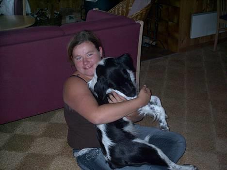 Blanding af racer Lucky billede 2