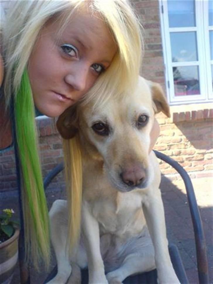 Labrador retriever Penny - Penny & Jeg <3 sommer 2007 billede 10