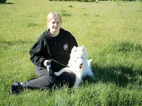 Samojedhund Igglo - Her er jeg med min mor.. billede 3