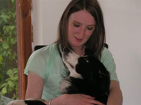 Border collie Blade - Er jeg morsyg, det siger far!! ............NEJ vel??   NYT billede 14