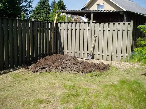 Blanding af racer Cody *DØD* billede 18