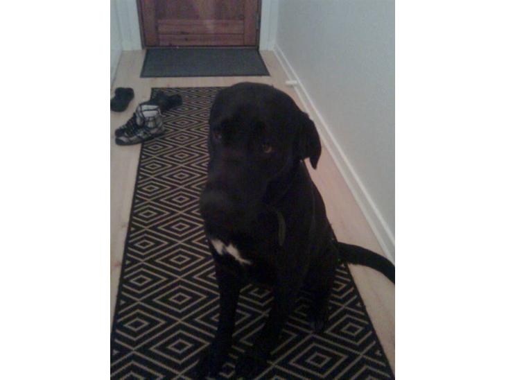 {{currentPhoto.altText}} billede {{currentPhoto.number}}