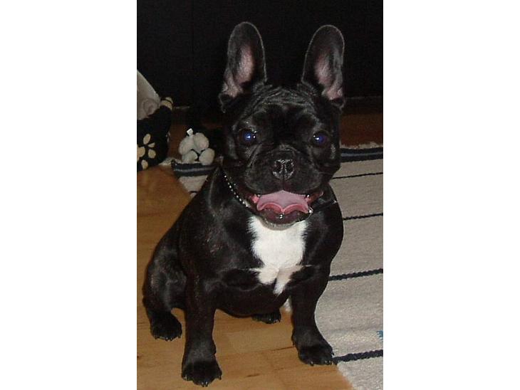 {{currentPhoto.altText}} billede {{currentPhoto.number}}