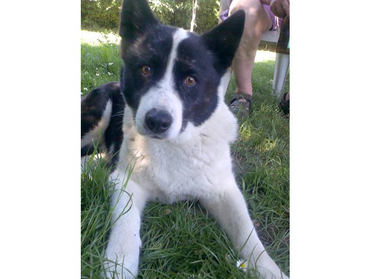 {{currentPhoto.altText}} billede {{currentPhoto.number}}