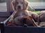 Field Trial Cockerspaniel Spilops Wild Weather Wilma