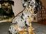Blanding af racer Cookie - 10 uger
