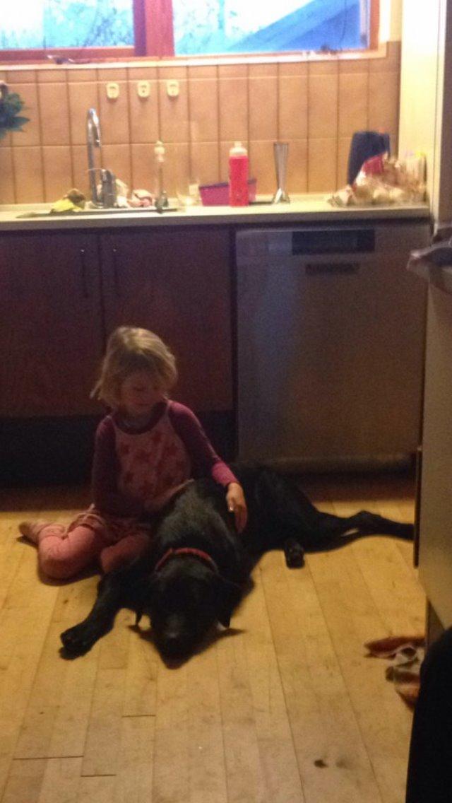 Blanding af racer Maggie billede 35