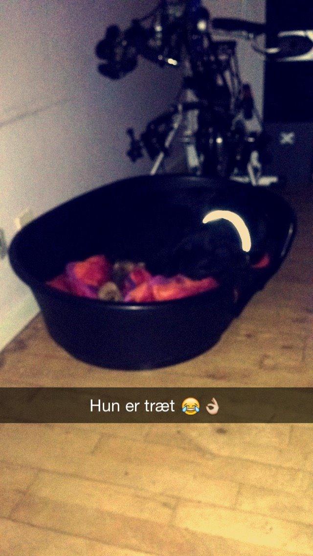 Blanding af racer Maggie billede 36