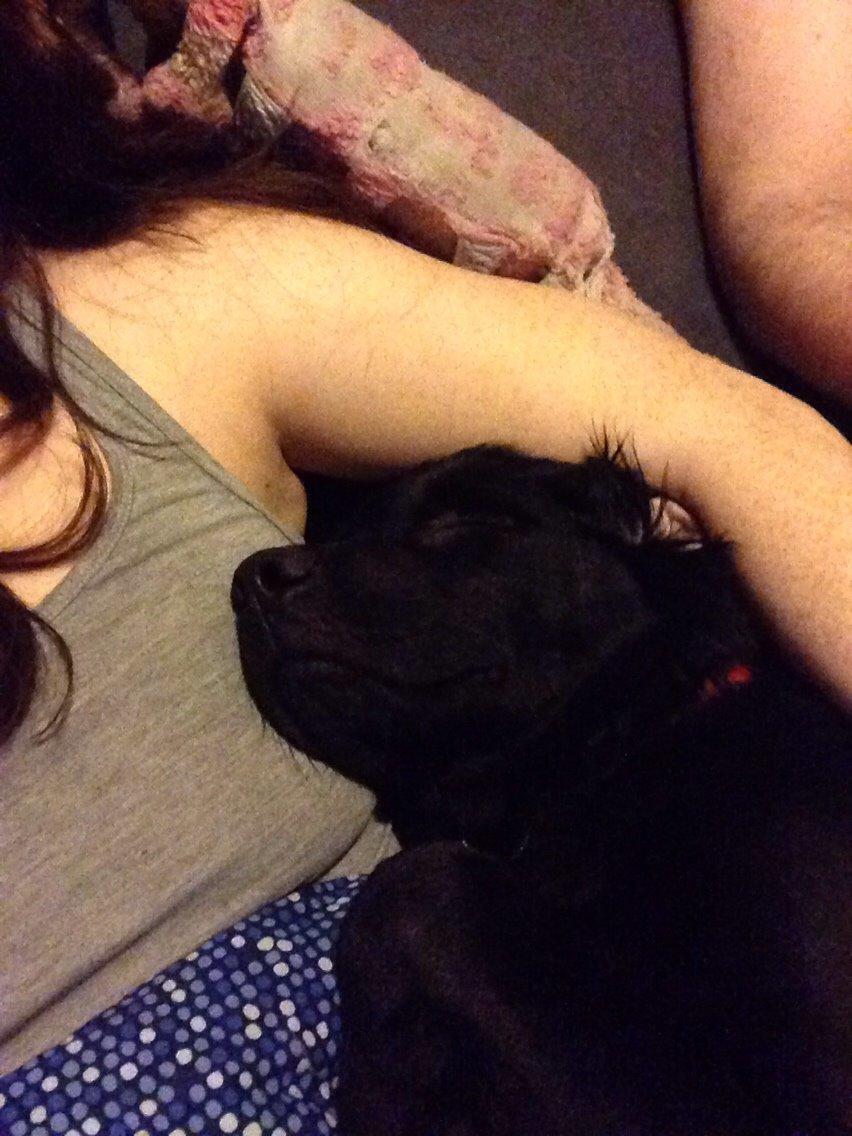 Blanding af racer Bentley billede 12