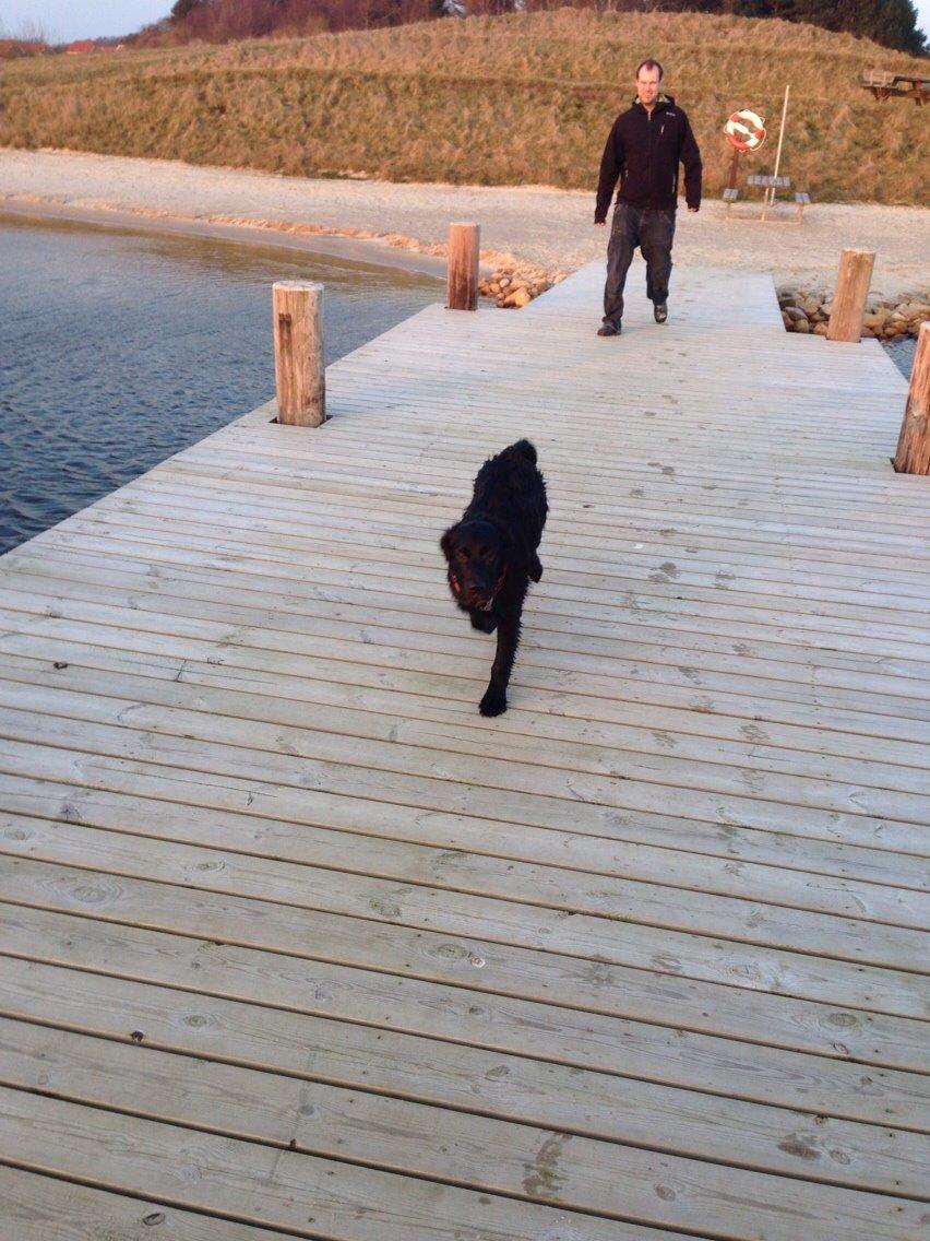 Blanding af racer Bentley billede 17