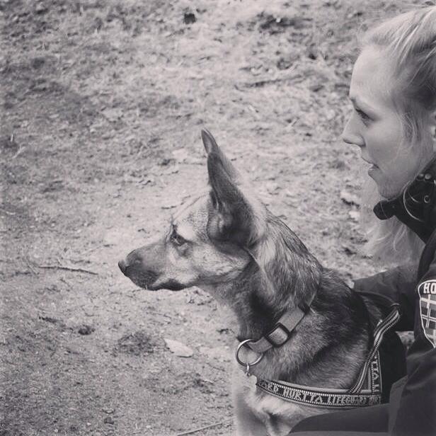 Blanding af racer Foxy billede 22