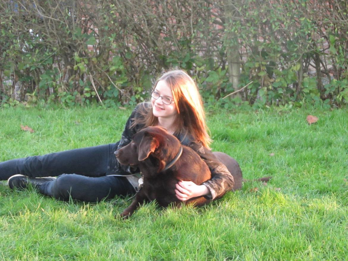 Labrador retriever Bella<3 billede 17