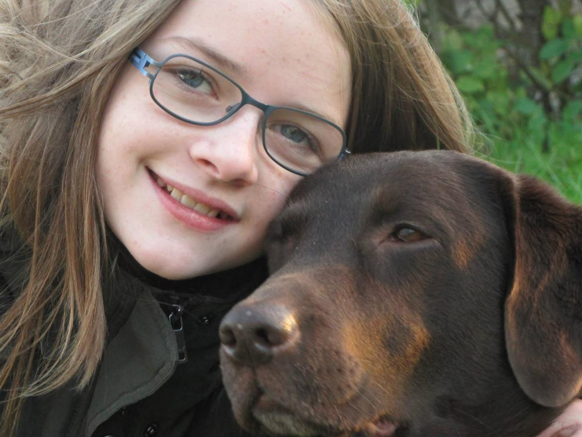 Labrador retriever Bella<3 billede 16