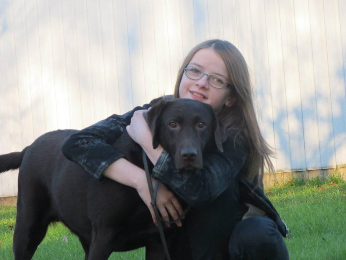 Labrador retriever Bella<3 billede 20