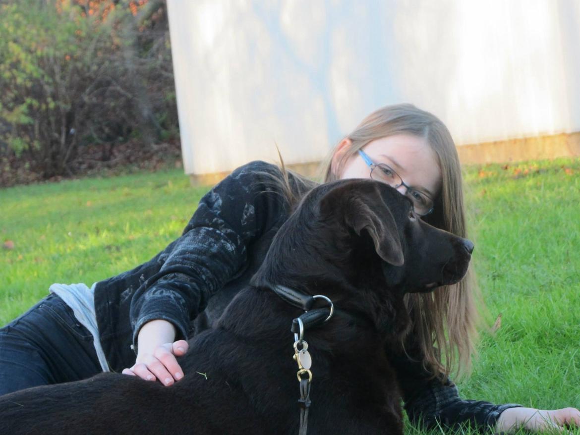 Labrador retriever Bella<3 billede 21