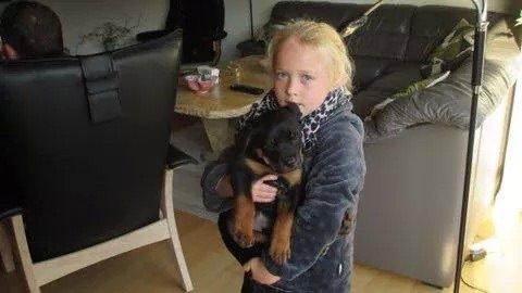 Rottweiler Jason billede 17