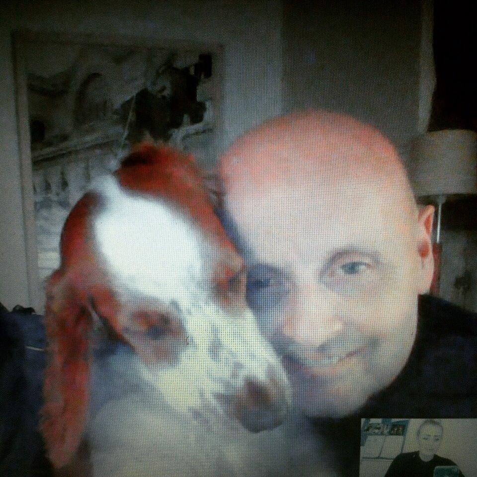 Welsh springer spaniel Kiwi "Big picture" billede 9