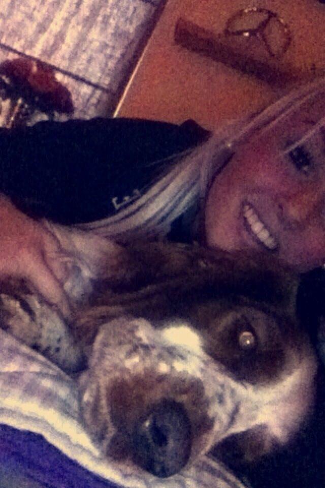 Welsh springer spaniel Kiwi "Big picture" billede 10